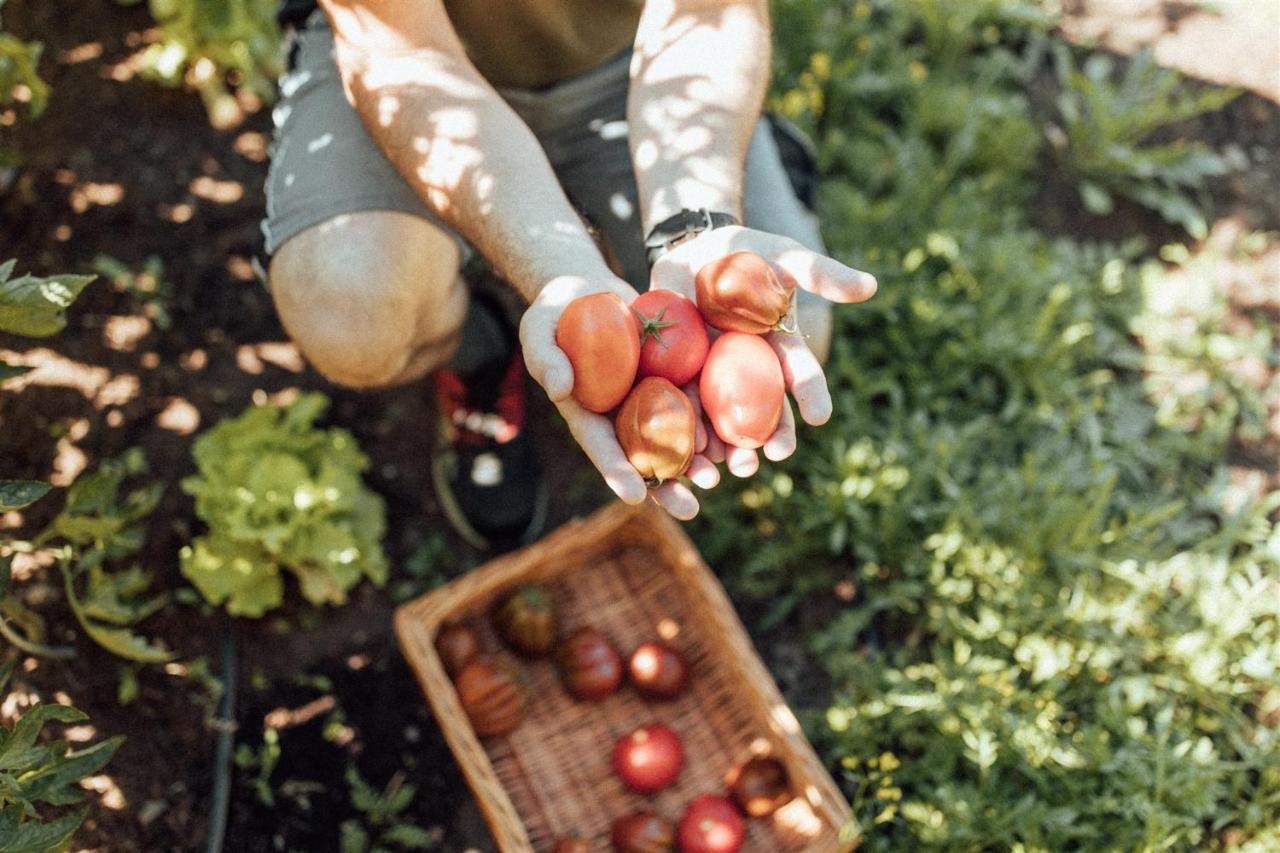 Biohotel Theiner'S Garten Lana Ngoại thất bức ảnh