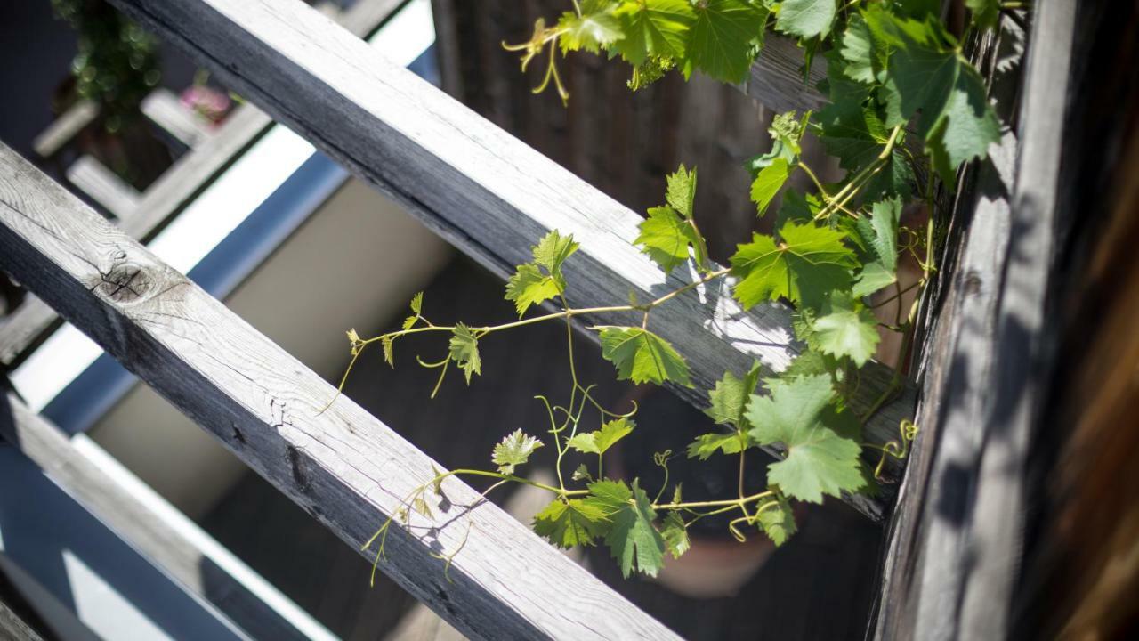 Biohotel Theiner'S Garten Lana Ngoại thất bức ảnh
